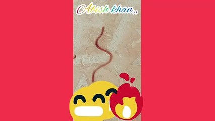 آج ہمارے ہاں ناگ نکلا ہے  یہ دشمن  ہے