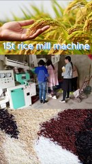 15T/D Rice Milling Machine Supplier- Hongjia Rice Mill #ricemillsupplier #ricemill