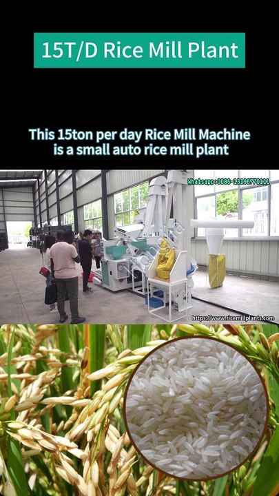 15T/D Rice Milling Machine Supplier- Hongjia Rice Mill #ricemillsupplier #ricemill #ricemillplant