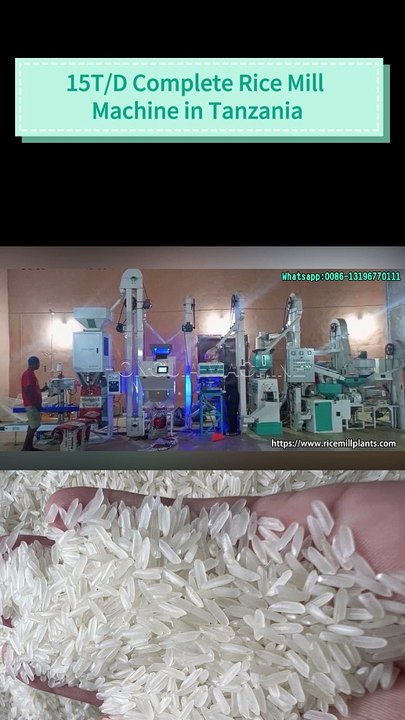 15T/D Complete Rice Process Machine | Rice Mill Machine Supplier- Hongjia Rice Mill #ricemill