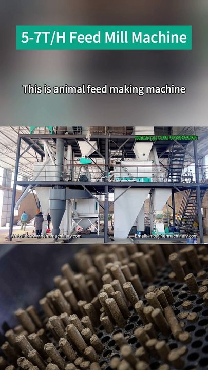 Our 5-7t/h feed production line is well-suited for processing various animal feeds, including poultry, livestock, chicken, cattle, sheep, pig, horse, duck, fish, shrimp, crab, and aquatic feeds.  Key components of a complete 5-7 T/H animal feed pellet pro