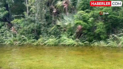 ABD'nin Florida eyaletinde Debby kasırgası: En az 4 kişi hayatını kaybetti