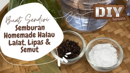Buat Sendiri Semburan Homemade Halau Lalat, Lipas & Semut