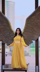 Arabic Dance Extravaganza