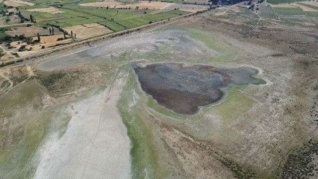 Göçmen kuşlara ev sahipliği yapan gölet kurudu: Keçilerin otlağı oldu