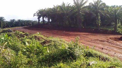 AB News information Project tol