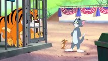 Tom & Jerry _ Tigerjakt _ Boomerang Norge #tomandjerry #cartoon