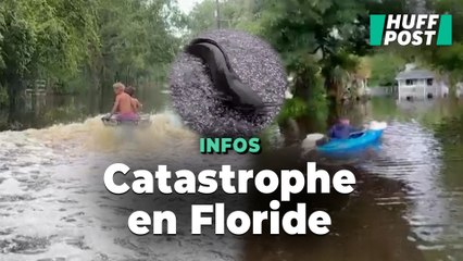 Poissons dans la rue et policiers en bateau, la Floride submergée par la tempête Debby