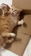 Don't disturb it's my time ❤️❤️