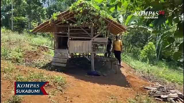 8 Ekor Kambing Milik Warga Mati Di Kandangnya Diduga Diterkam Binatang Buas