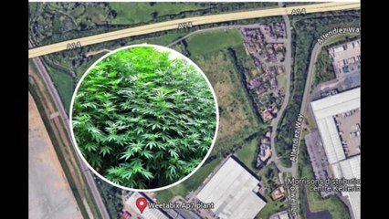 Latest headlines from the Northants Telegraph