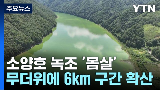 식수원 소양호 녹조 확산...폭염 속 방제 비상 / YTN
