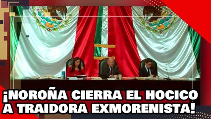 ¡VE! ¡Noroña le cierra el hocico con brutal cátedra a traidora exmorenista que sigue colgada de AMLO