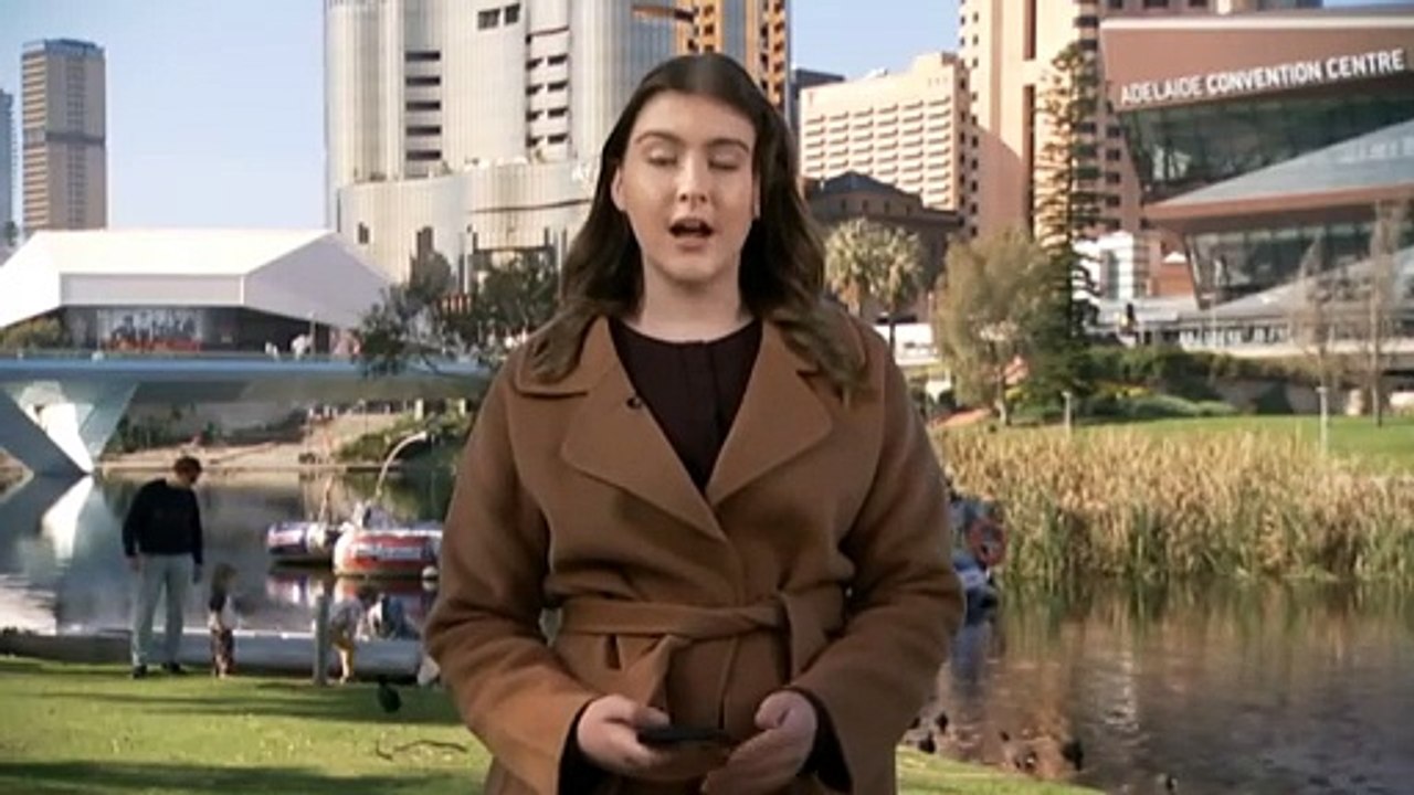 South Australian Liberal party opposition leader David Speirs stands down