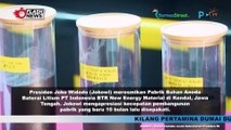 Presiden Jokowi Resmikan Pabrik Anoda Baterai Litium di Kendal