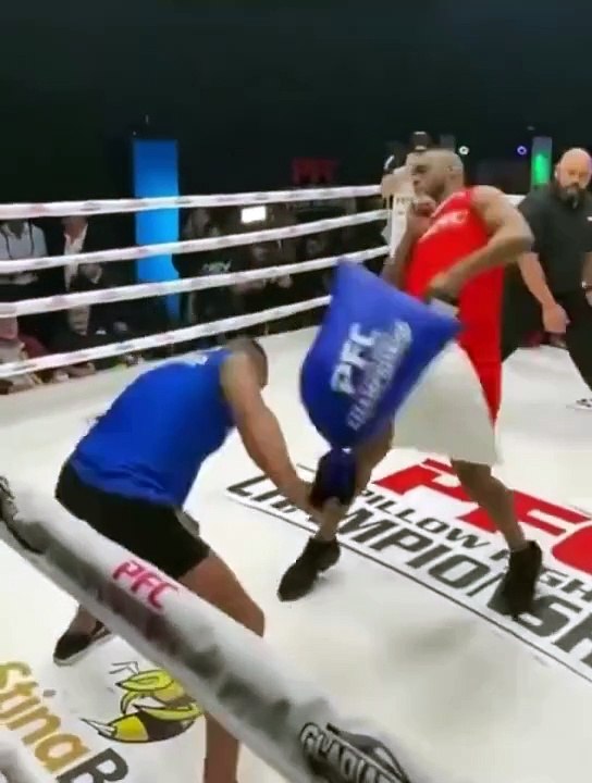 Pillow fighting should be a national sport