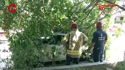 Kadıköy’de güneşten çürüyen ağaç otomobilin üzerine devrildi