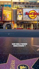 Les Étoiles sur Hollywood Boulevard Coûtent une Fortune !