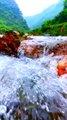 River beautiful #beautiful #naturalbeauty933 #beauty #river #green#grassgreen #natural #water #news #funny