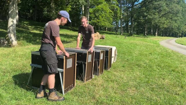 Cigognes grottes de Han