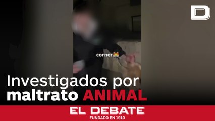 La Guardia Civil investiga a dos jóvenes por utilizar una gallina como balón de fútbol en La Rioja