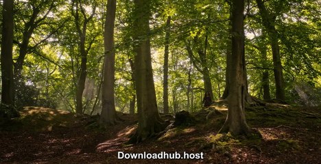 Cursed.S01E05.HIndi.English.720p