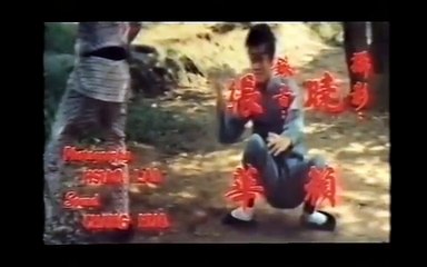 Pelicula de kung fu LA CALLE INFERNAL by Yu Tien Lung