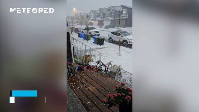 The heavy hailstorm causes severe damage in Calgary, Canada