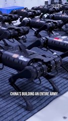 China's Robot Dog Army