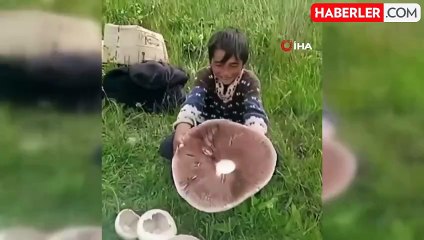 Kars'ta Dev Mantarlar Köylülerin İlgi Odağı Oldu