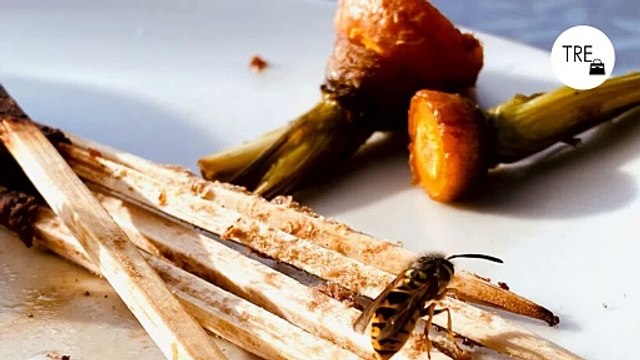 La forma más barata y desconocida para alejar avispas y mosquitos de la terraza sin productos químicos