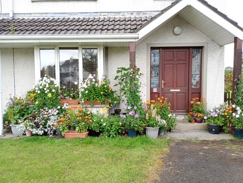 Container cottage garden and transplanting seedlings - Gardening with Brendan