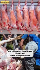 Sir, how did you turn vegan? || Acharya Prashant