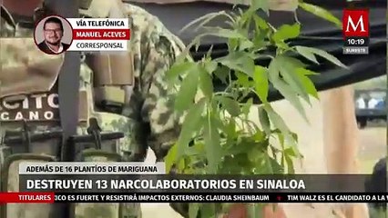 Download Video: Destruyen 13 narcolaboratorios y 16 plantíos de mariguana tras operativos en Sinaloa