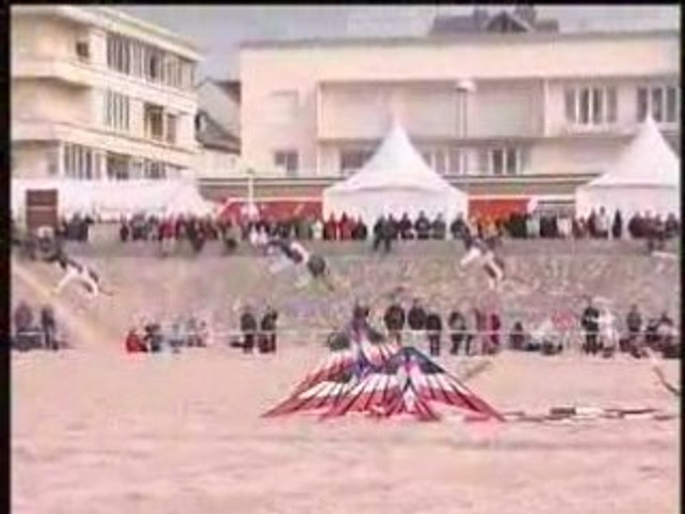 Les 22èmes Rencontres Internationales de Cerfs-Volants