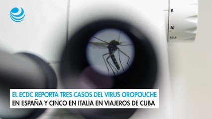 El ECDC reporta tres casos del virus Oropouche en España y cinco en Italia en viajeros de Cuba
