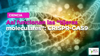 Así funcionan las “tijeras moleculares”: CRISPR-CAS9