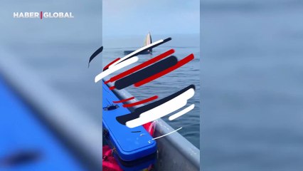 Balinayı görenler gözlerine inanamadı! Guiness Rekorlar Kitabı'na girebilir