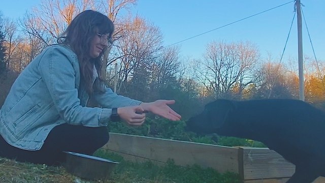 Stray Lab Won't Come Near People Until This Dog Befriends Him ❤️