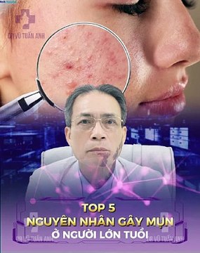 #232 LỆ ADS 82023-6.8-74-H01demo