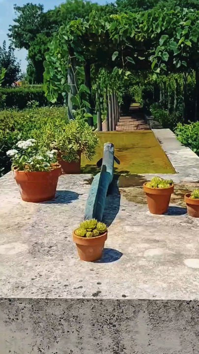 Connaissez-vous l'anguille protectrice de Pons ?