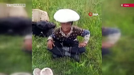 Kars'ta dev mantarlar görenleri şaşırttı