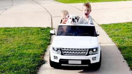 What Its Like Growing Up With A Dog BFF