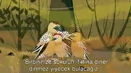 Kaktüs neden çöllerin en verimli bitkisidir