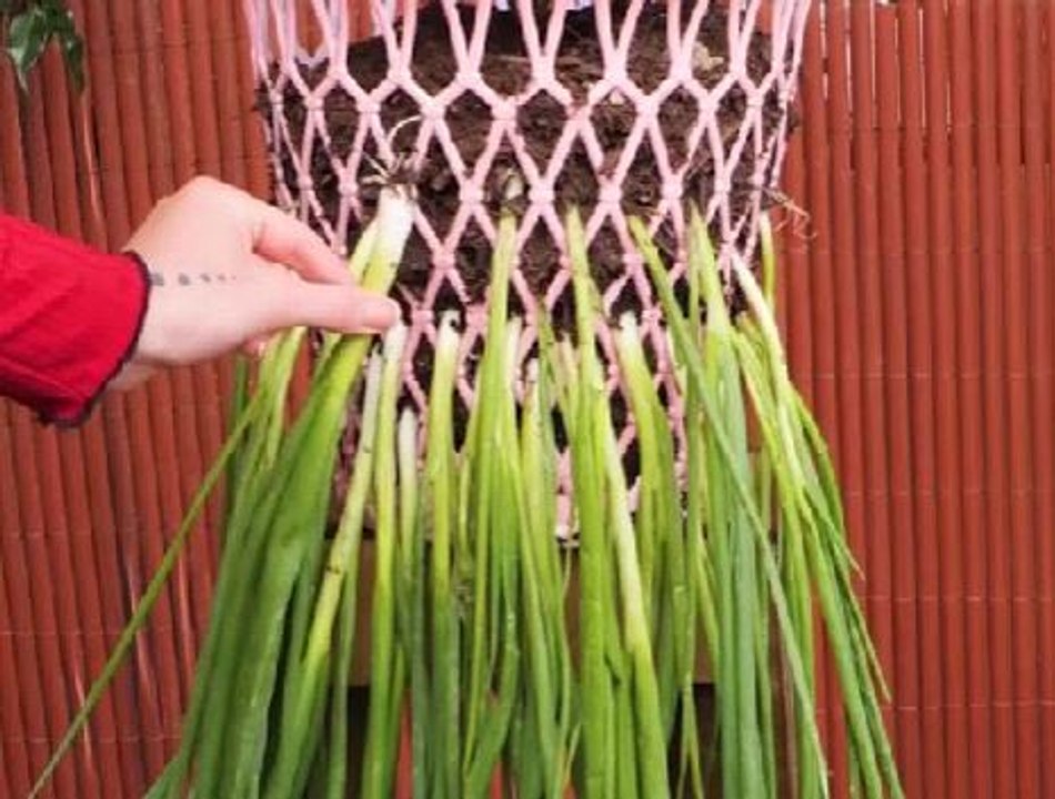 Indulge your inner gardener with these awesome planting hacks!