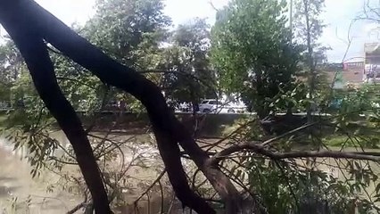 Nehar par kisi darkahat kay neechay na betahy