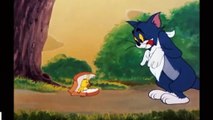 Tom and Jerry Latest Tom And Jerry Cartoon Compilation Of Tom