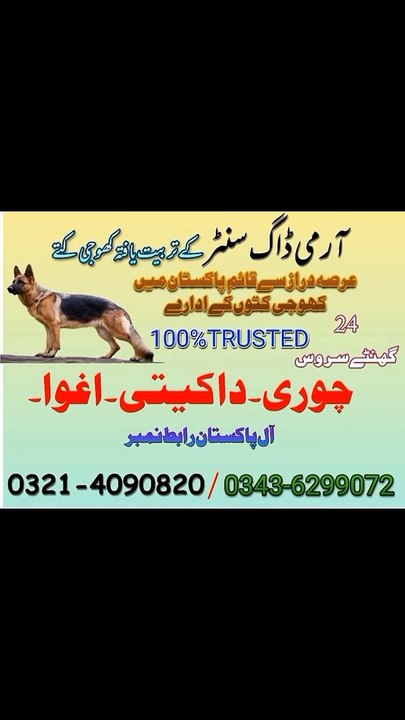 Army dog center All Pakistan Khoji koote