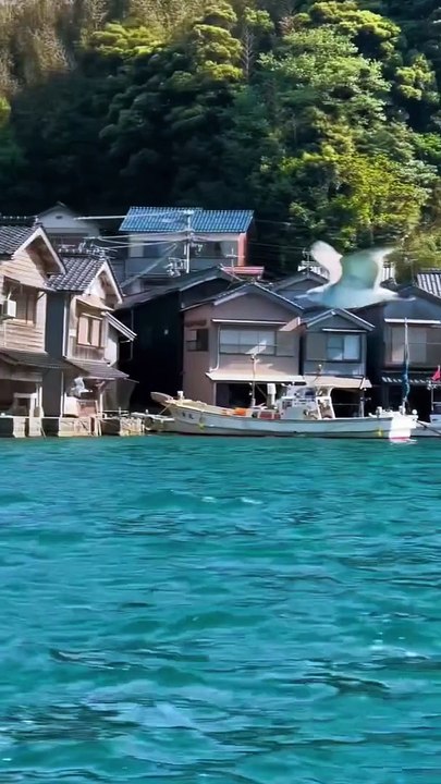 JAPAN KYOTO  #foryouシ #fbreelsfypシ゚ #fypシ #japan #kyoto #kyotojapan