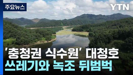 '충청권 식수원' 대청호 쓰레기와 녹조 뒤범벅...폭염까지 이중고 / YTN
